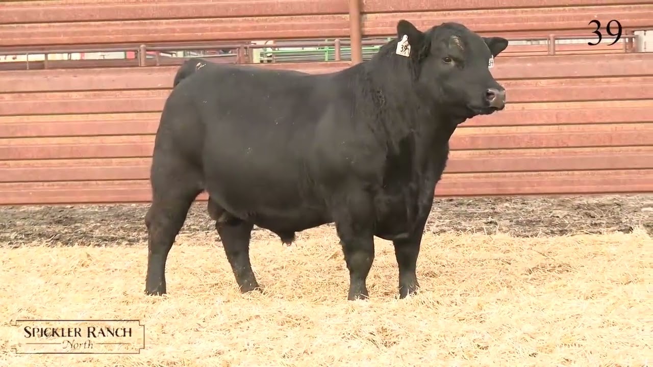 Spickler Ranch North Lot 39