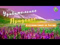 Удивительное Придонье: Воронеж – Рамонь – Дивногорье - Липецк – Елец