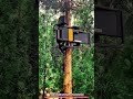 Automated Tree Climbing Pruning Machine 12m/min Forestry Inspection and High-Reach Tree Maintenance
