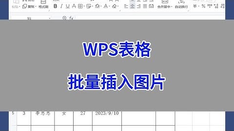 WPS表格：批量插入图片。#wps #excel #办公技巧 #干货分享 #电脑