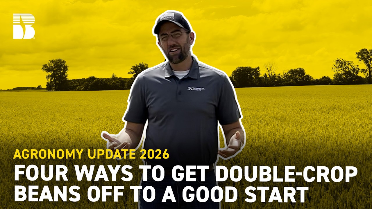 Four Ways To Get Double-Crop Beans Off To A Good Start | Beck's