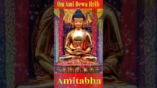 Om Ami Dewa Hrih - Amitabha Buddha Mantra: Channeling Divine Light and Compassion amitabha buddha