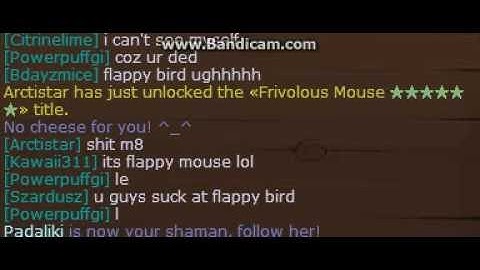 transformice chat in a nutshell