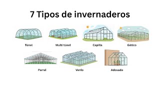 Los 7 tipos de invernaderos más comunes explicados en 4 minutos