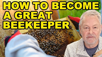 Beekeeping: Why Most Beekeepers Get Stuck at the Beginner Level