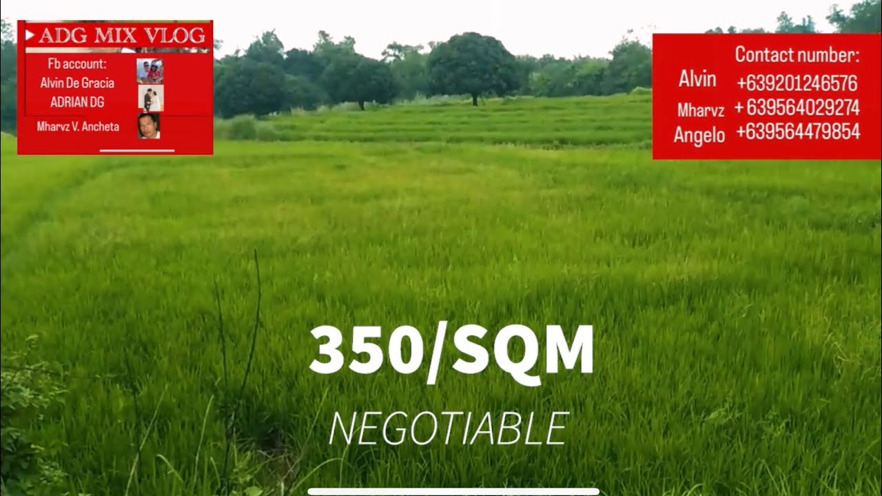 LOT FOR SALE AT ROSALES PANGASINAN 2.5 hectares farm YouTube