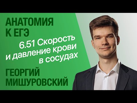 6.51. Диаметр сосудов, скорость и давление крови | Анатомия к ЕГЭ | Георгий Мишуровский