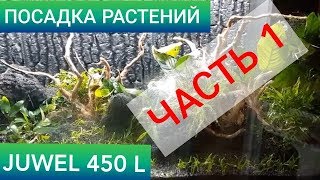 Посадка растений в аквариум (1). Травник. Запуск растительного аквариумаJUWEL 450 л. Часть 7. Посадка растений в аквариум (1). Травник. Запуск растительного аквариумаJUWEL 450 л. Часть 7.