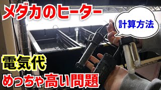 【めだか】加温飼育のヒーター電気代の計算方法【高すぎて泣いた｜使う前に知りたかった】