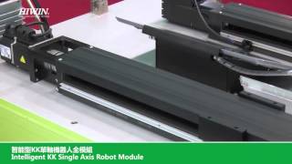 Linear Stage com Servo Motor HIWIN - Sistema Completo e Pronto para uso