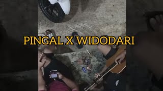 PINGAL X WIDODARI (story wa)