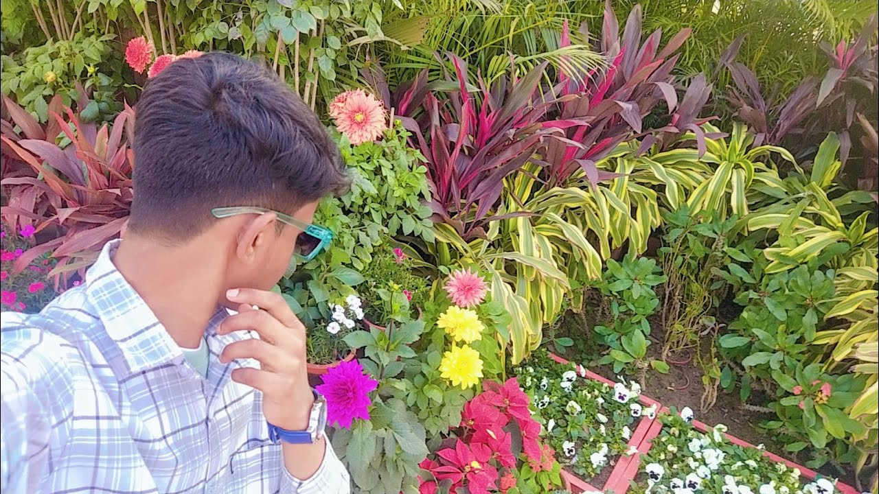 🌹💐Gandhi ji ki samadhi💐🌺 Raj ghat Aman ali vlog #delhivlog  #lifeisbutadream  