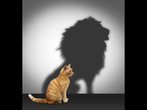 Attitude Reflects Leadership
