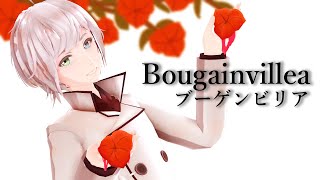 Bougainvillea