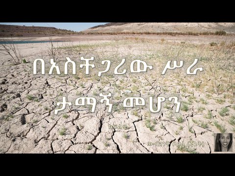 ቪዲዮ: የደንበኞች ታማኝነት ምንድነው እና እንዴት ማግኘት እንደሚቻል