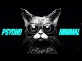 Psyco Minimal mix 2023 Trippy Cat Music🔥