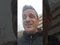 Actualización de la pichoncita de tórtola (2).