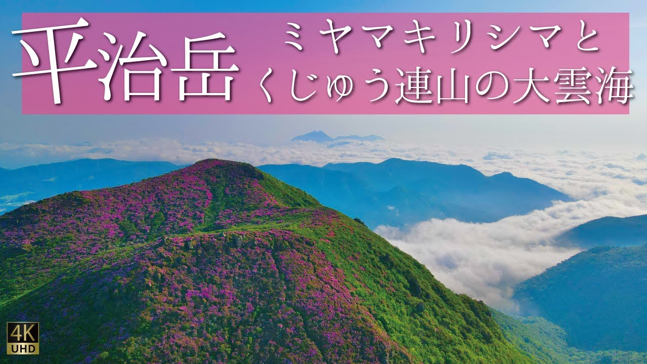 【登山】2021年くじゅう連山平治岳のミヤマキリシマ！大雲海の絶景！！
