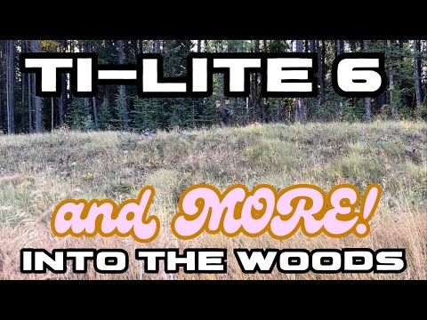 I Took A Strange Choice - Into The Woods????????????