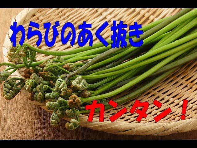 カンタン わらびのあく抜き まかない レシピ Youtube