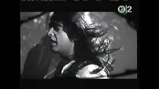 The Storm - Show Me the Way