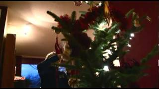 christmas tree terpstras.mov
