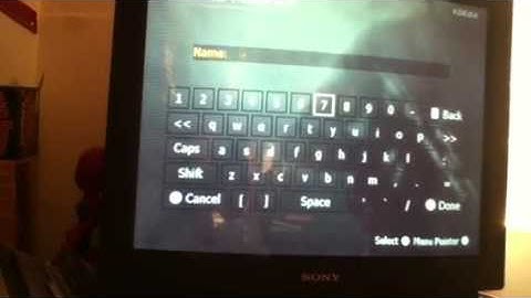 Name color changer for the wii