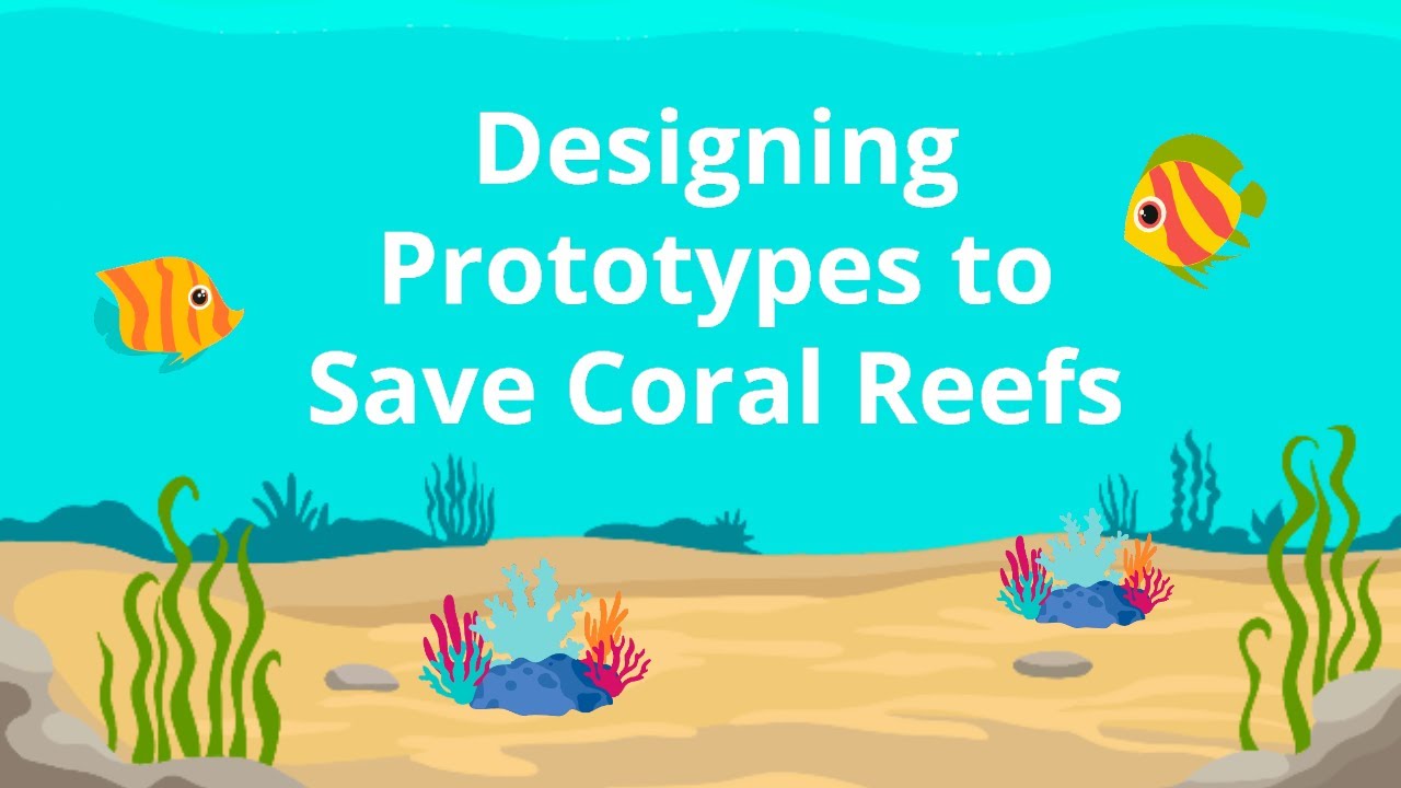 Designing Prototypes to Save Coral Reefs