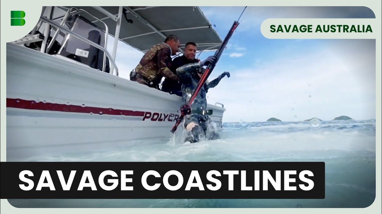 Surviving Australia's Wild Coastlines | Savage Australia | Documentary