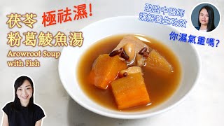 茯苓粉葛鯪魚湯 中醫教你check濕氣 | 中式湯 祛濕 養生食譜 Arrowroot soup with fish healthy soup for springtime