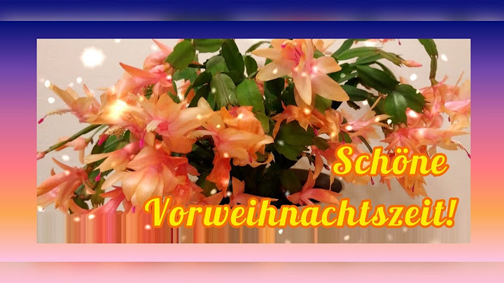 ✨Liebe Grüße zum Advent🕯️🎄🎀 Von Herzen wünsche Dir eine schöne und besinnliche Vorweihnachtszeit🌟💖