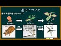 【ポケモン解説】よくわかる「砂漠の精霊」講座 Part1