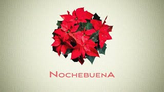 Nochebuena