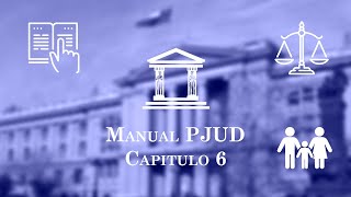 Capítulo 6:  Procedimientos ante los Juzgados de Familia  Manual único para Tribunales