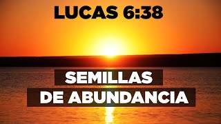 ORACION DE LA MAÑANA Todo Lo Que Siembra se Cosecha Lucas 6:3