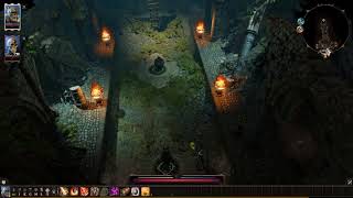 Divinity Original Sin 2 - Flying bug