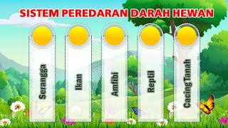 SISTEM PEREDARAN DARAH HEWAN