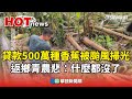 颱風影響