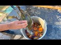 漁で獲れた最高級ガニで【カンジャンケジャン】を作ってみた...