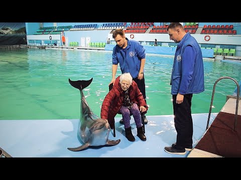 Мечта всей жизни: волонтёры помогли блокаднице увидеть дельфинов