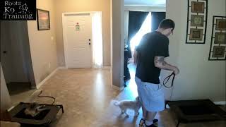 Mac Daily Basic Routine