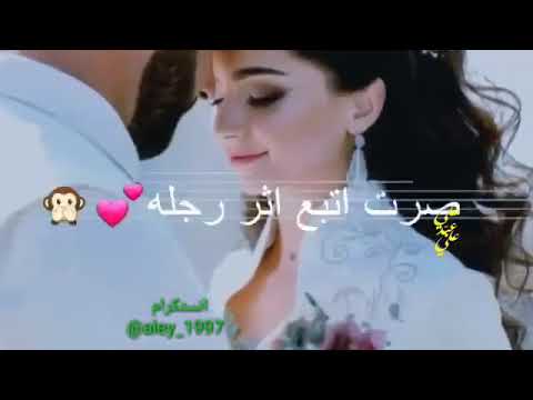 جذبني ما شفت مثله كلب عقلي عقل طفله 