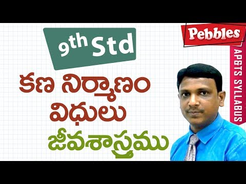 కన నిర్మాణం విధులు | క్లాస్ 9 బయాలజీ తెలుగు మీడియం | అన్ని పోటీ పరీక్షలకు