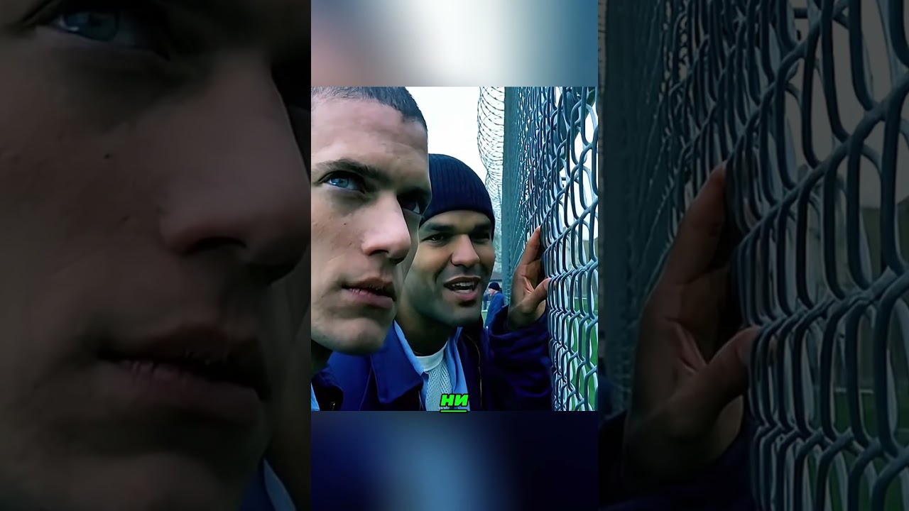Бумажный журавлик, заставивший всех настор#shorts #shortvideo #viralvideo #movie #film