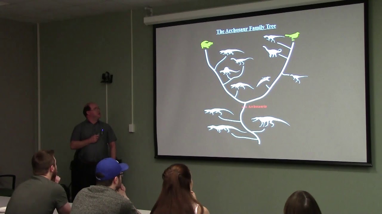 Transformations... the complex evolutionary transition to birds by Dr Corwin Sullivan.