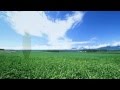 ストレスを静め自律神経を整えるギターインストBGM07(１時間)