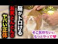 【衝撃】なぜ猫はお尻とんとんに夢中なのか？９割が知らない…
