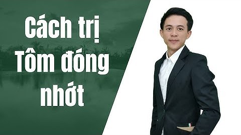 XỬ LÝ TÔM BỊ ĐÓNG RONG