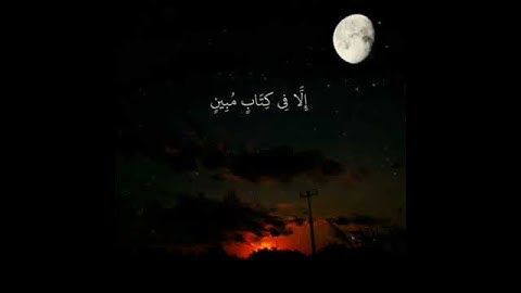 قران كريم اجمل حالات واتساب#سعود الشريم#عبدالرحمن السديس#المعيقلي#اليماني#الاركاني#البراك#عبدالباسط