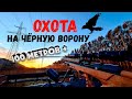 Охота на Чёрную Ворону. 100 метров +.  Crow Hunting 2021. Кроухантинг. Jack Hunter.